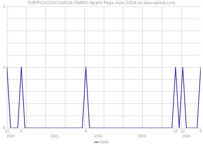 PURIFICACION GARCIA PARRO (Spain) Page visits 2024 