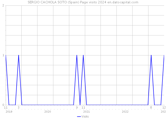 SERGIO CACHOLA SOTO (Spain) Page visits 2024 