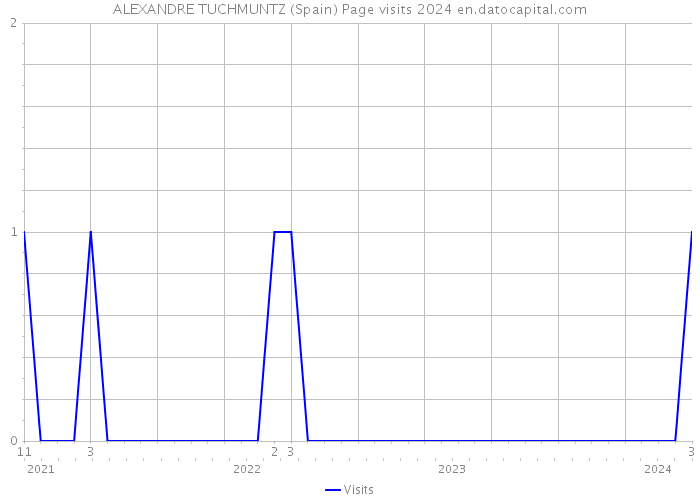 ALEXANDRE TUCHMUNTZ (Spain) Page visits 2024 