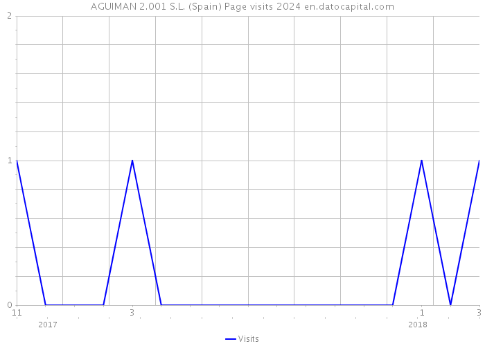 AGUIMAN 2.001 S.L. (Spain) Page visits 2024 