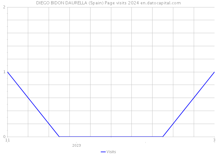 DIEGO BIDON DAURELLA (Spain) Page visits 2024 