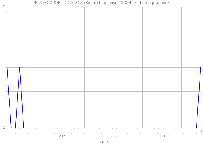 PELAYO OPORTO GARCIA (Spain) Page visits 2024 