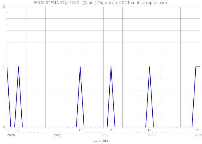 ECOSISTEMA EQUINO SL (Spain) Page visits 2024 