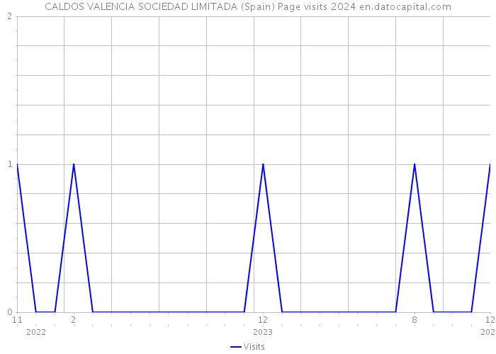 CALDOS VALENCIA SOCIEDAD LIMITADA (Spain) Page visits 2024 
