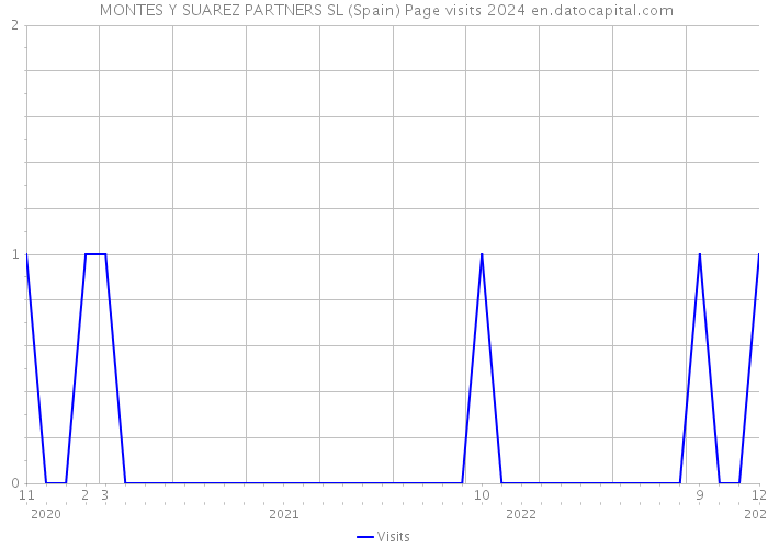  MONTES Y SUAREZ PARTNERS SL (Spain) Page visits 2024 