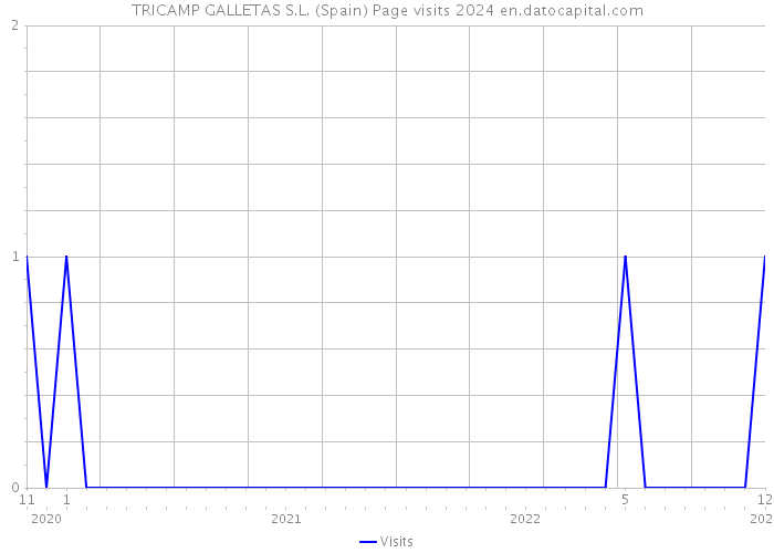 TRICAMP GALLETAS S.L. (Spain) Page visits 2024 