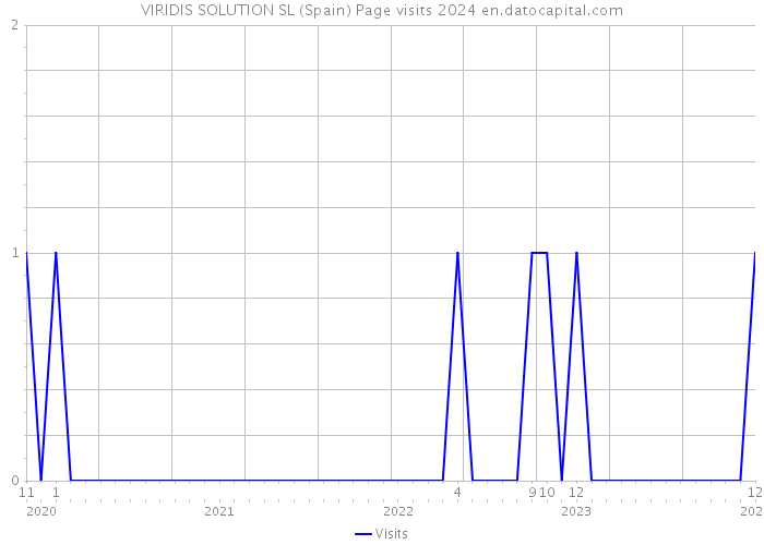 VIRIDIS SOLUTION SL (Spain) Page visits 2024 