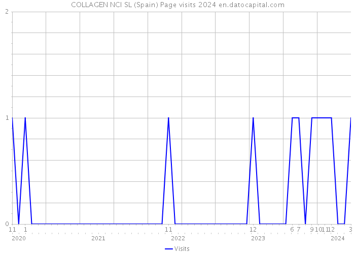 COLLAGEN NCI SL (Spain) Page visits 2024 