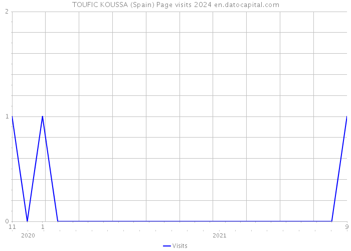 TOUFIC KOUSSA (Spain) Page visits 2024 