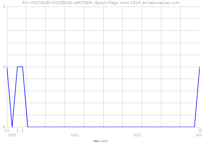 RV-VINCULUM SOCIEDAD LIMITADA (Spain) Page visits 2024 
