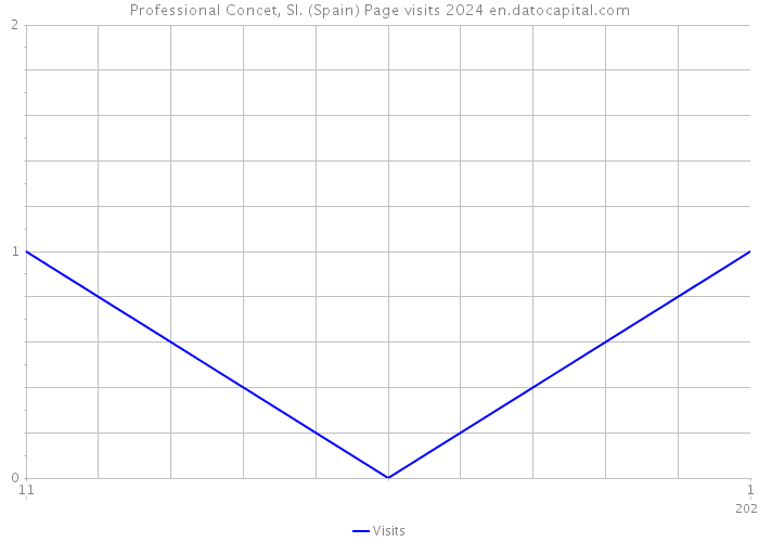 Professional Concet, Sl. (Spain) Page visits 2024 