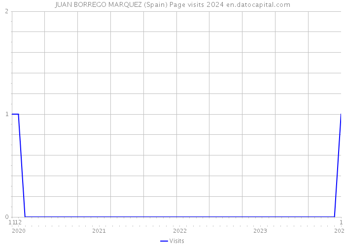 JUAN BORREGO MARQUEZ (Spain) Page visits 2024 