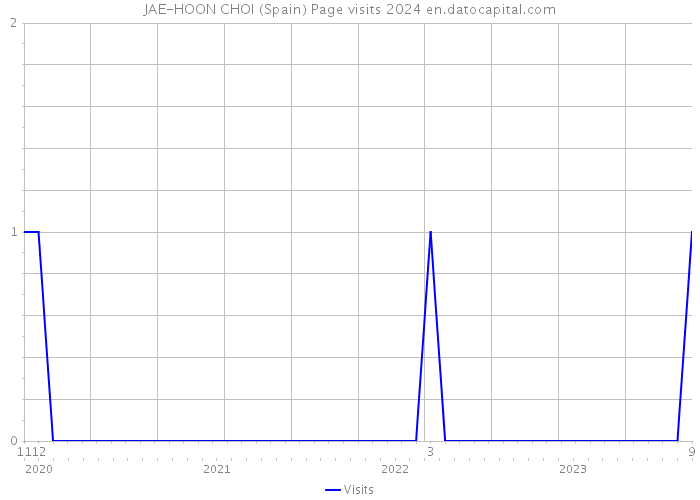 JAE-HOON CHOI (Spain) Page visits 2024 