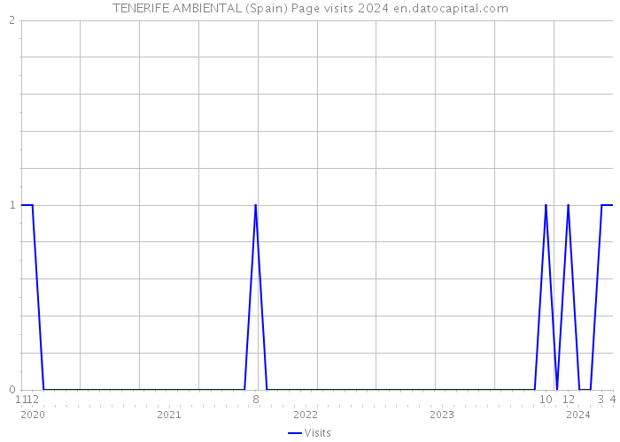 TENERIFE AMBIENTAL (Spain) Page visits 2024 
