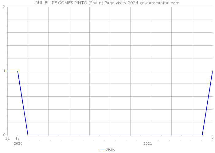 RUI-FILIPE GOMES PINTO (Spain) Page visits 2024 