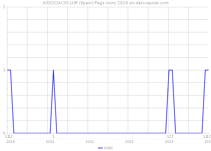 ASSOCIACIO LUR (Spain) Page visits 2024 