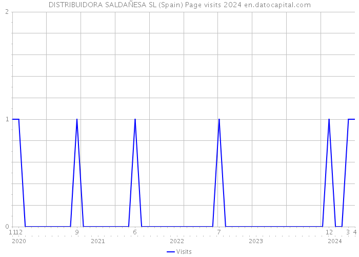 DISTRIBUIDORA SALDAÑESA SL (Spain) Page visits 2024 
