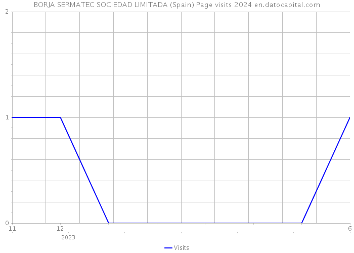 BORJA SERMATEC SOCIEDAD LIMITADA (Spain) Page visits 2024 