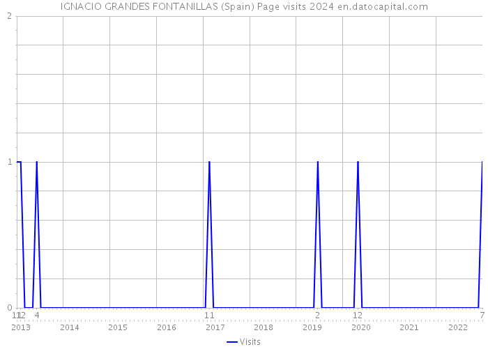 IGNACIO GRANDES FONTANILLAS (Spain) Page visits 2024 