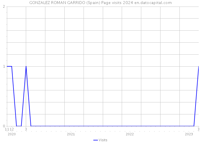 GONZALEZ ROMAN GARRIDO (Spain) Page visits 2024 
