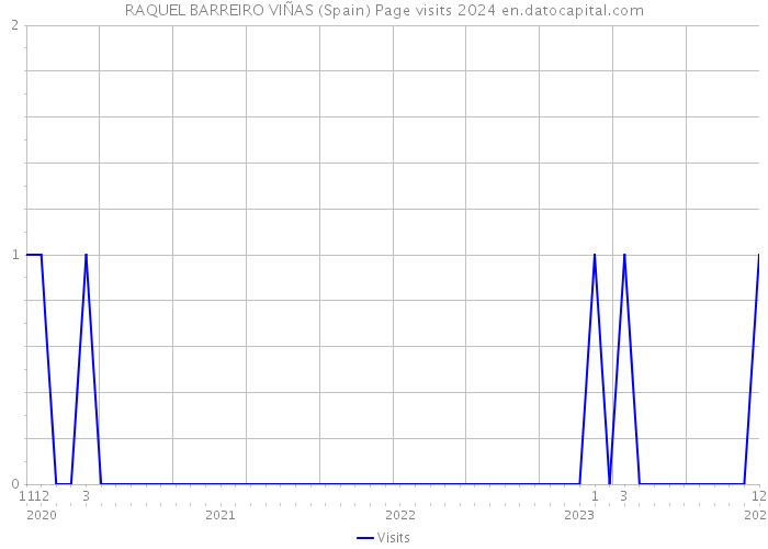 RAQUEL BARREIRO VIÑAS (Spain) Page visits 2024 