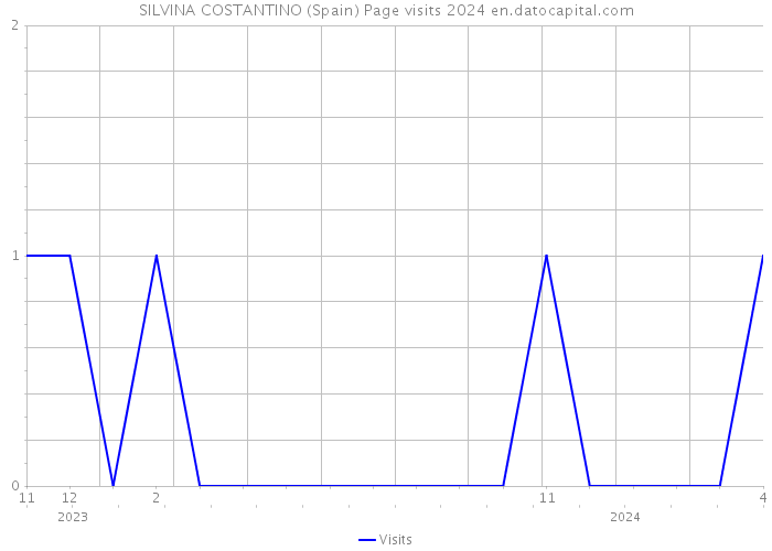 SILVINA COSTANTINO (Spain) Page visits 2024 