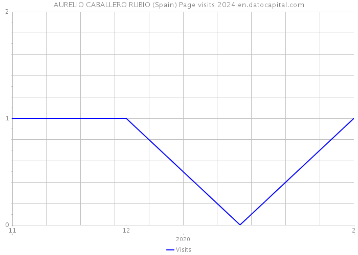 AURELIO CABALLERO RUBIO (Spain) Page visits 2024 