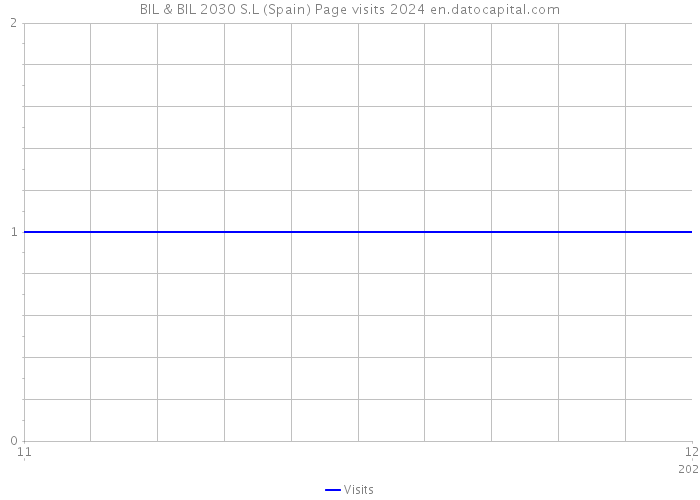 BIL & BIL 2030 S.L (Spain) Page visits 2024 