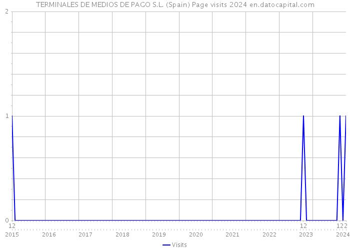 TERMINALES DE MEDIOS DE PAGO S.L. (Spain) Page visits 2024 