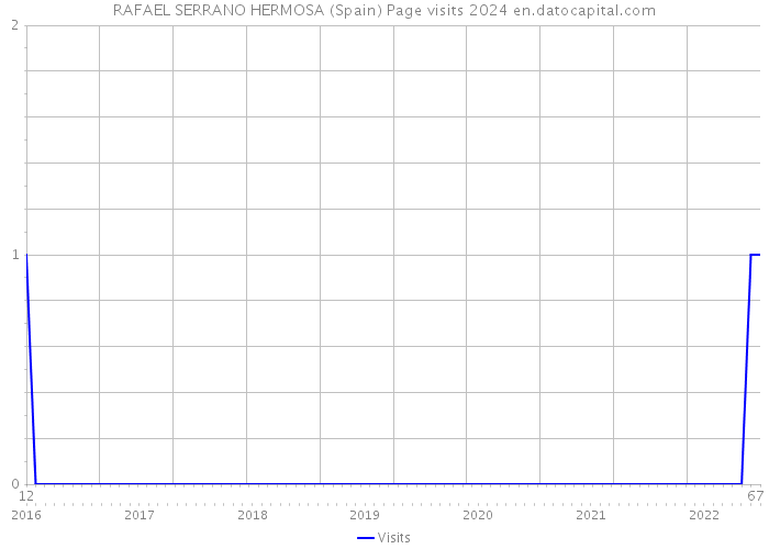 RAFAEL SERRANO HERMOSA (Spain) Page visits 2024 