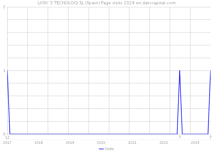 LION´S TECNOLOGI SL (Spain) Page visits 2024 