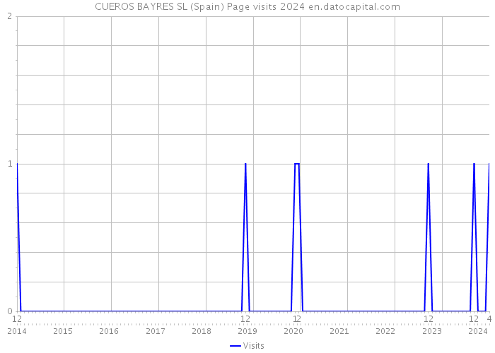 CUEROS BAYRES SL (Spain) Page visits 2024 