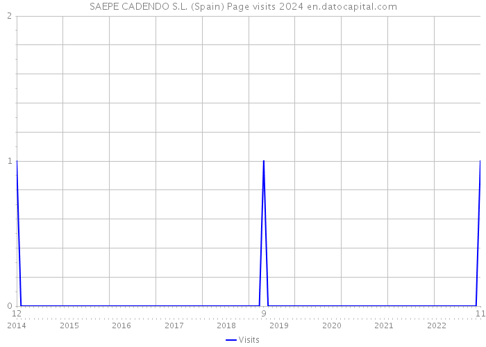 SAEPE CADENDO S.L. (Spain) Page visits 2024 