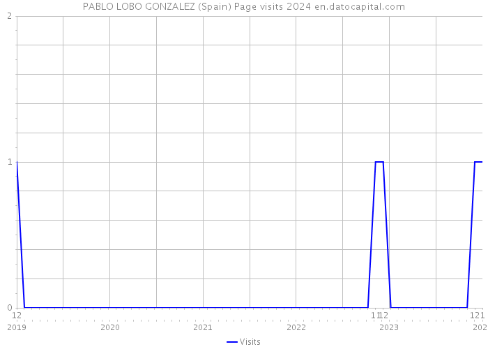 PABLO LOBO GONZALEZ (Spain) Page visits 2024 