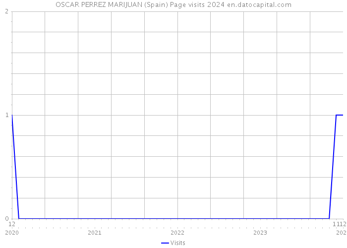 OSCAR PERREZ MARIJUAN (Spain) Page visits 2024 
