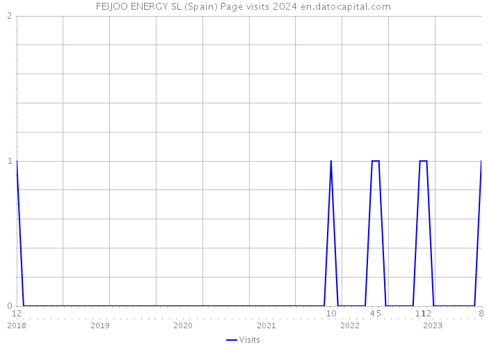 FEIJOO ENERGY SL (Spain) Page visits 2024 