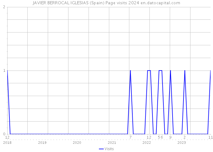JAVIER BERROCAL IGLESIAS (Spain) Page visits 2024 
