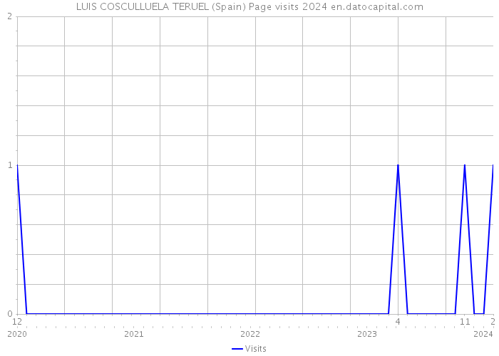 LUIS COSCULLUELA TERUEL (Spain) Page visits 2024 
