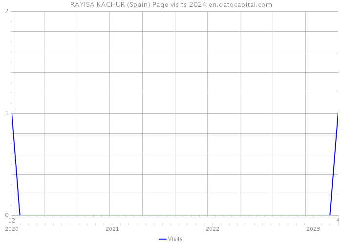 RAYISA KACHUR (Spain) Page visits 2024 