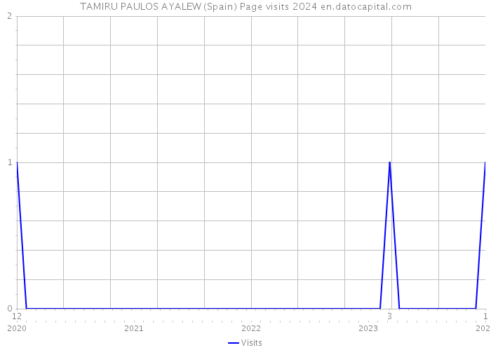 TAMIRU PAULOS AYALEW (Spain) Page visits 2024 