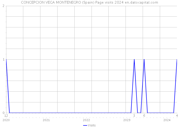 CONCEPCION VEGA MONTENEGRO (Spain) Page visits 2024 