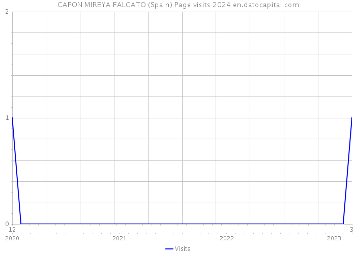 CAPON MIREYA FALCATO (Spain) Page visits 2024 