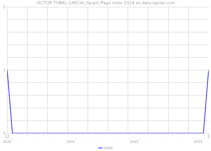 VICTOR TOBAL GARCIA (Spain) Page visits 2024 
