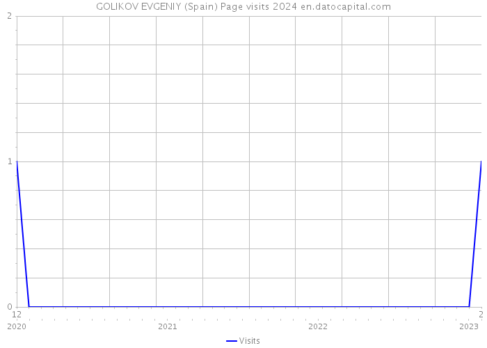GOLIKOV EVGENIY (Spain) Page visits 2024 