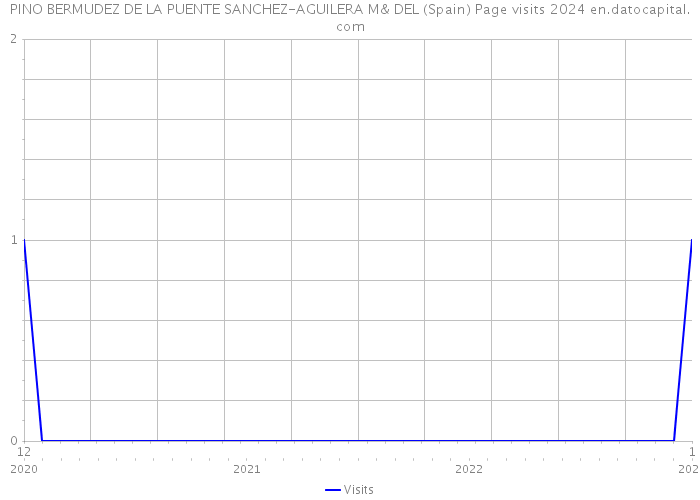 PINO BERMUDEZ DE LA PUENTE SANCHEZ-AGUILERA M& DEL (Spain) Page visits 2024 