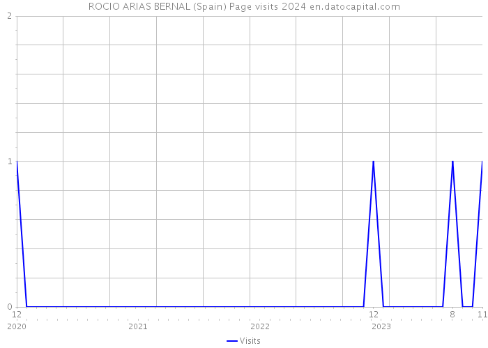 ROCIO ARIAS BERNAL (Spain) Page visits 2024 