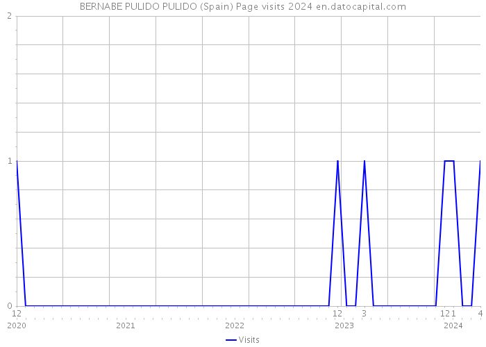 BERNABE PULIDO PULIDO (Spain) Page visits 2024 