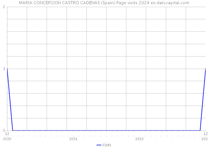 MARIA CONCEPCION CASTRO CADENAS (Spain) Page visits 2024 