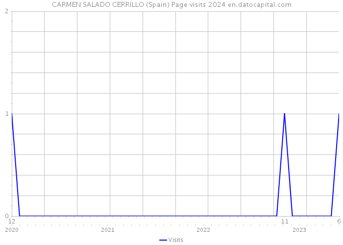 CARMEN SALADO CERRILLO (Spain) Page visits 2024 