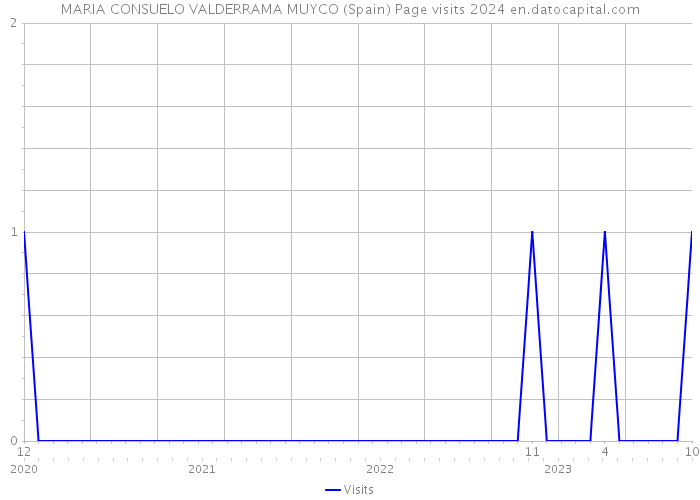 MARIA CONSUELO VALDERRAMA MUYCO (Spain) Page visits 2024 